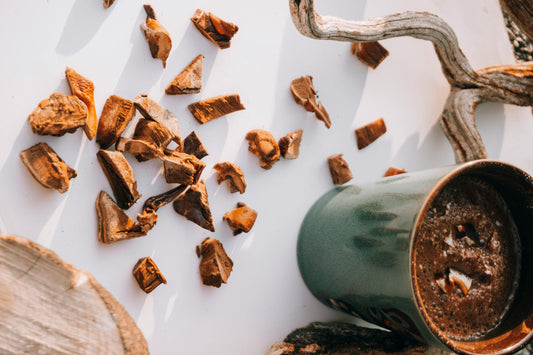 Les bienfaits du chaga pour votre santé