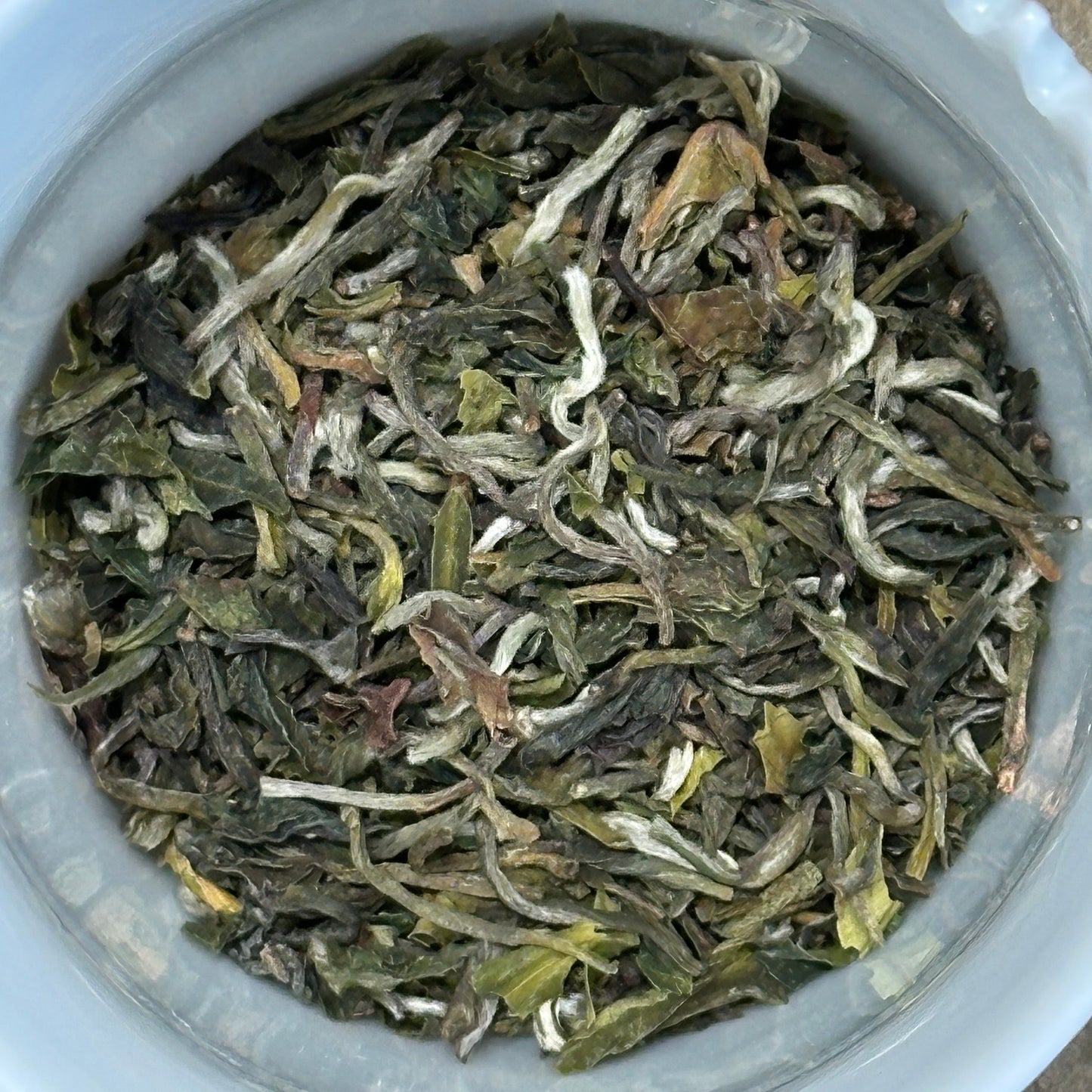 DARJEELING SPRING FLUSH 2026